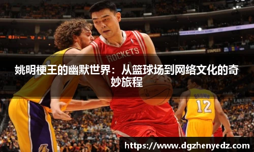姚明梗王的幽默世界：从篮球场到网络文化的奇妙旅程